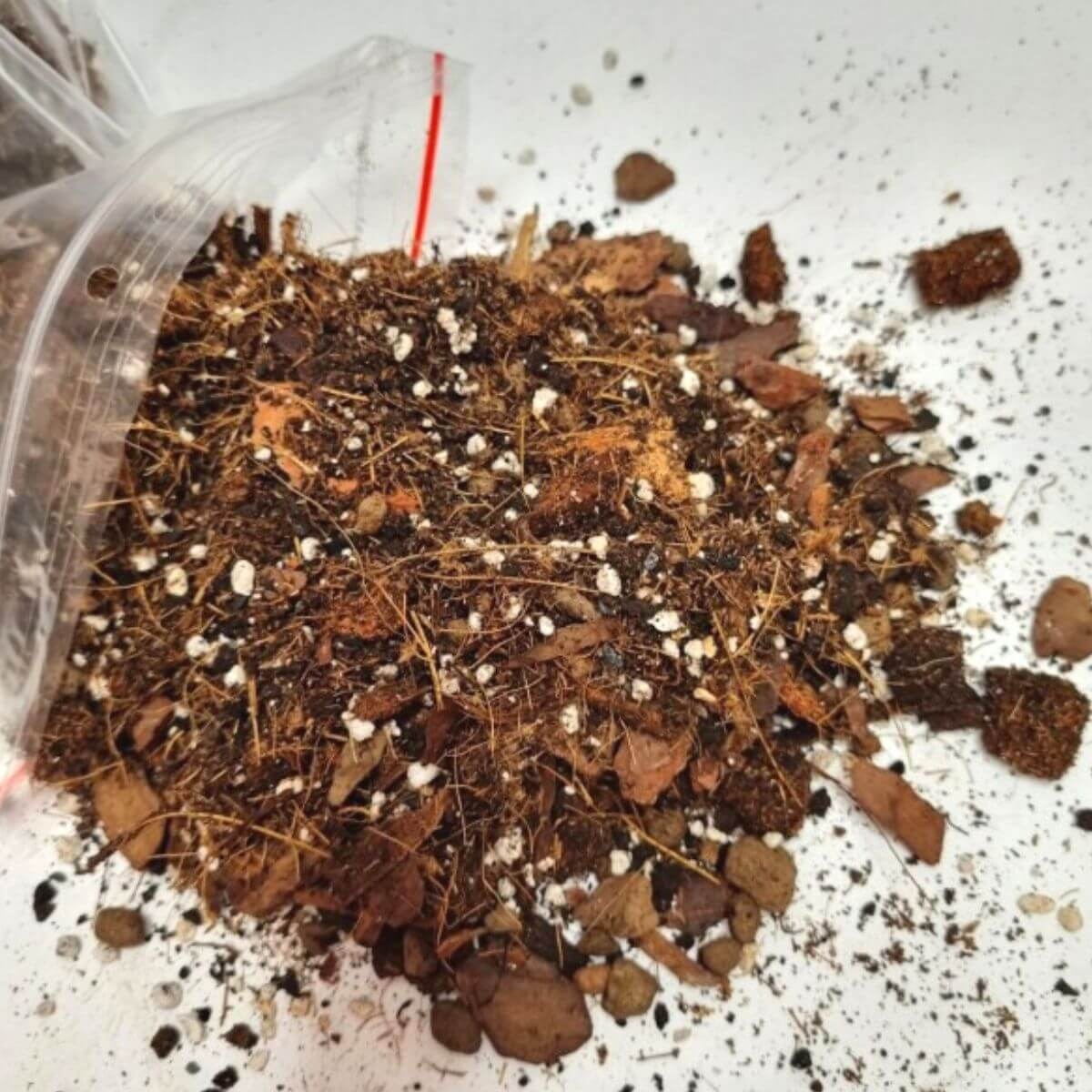 Urban Jungle podłoże do Monstery, Alokazji, Filodendronów - bigos