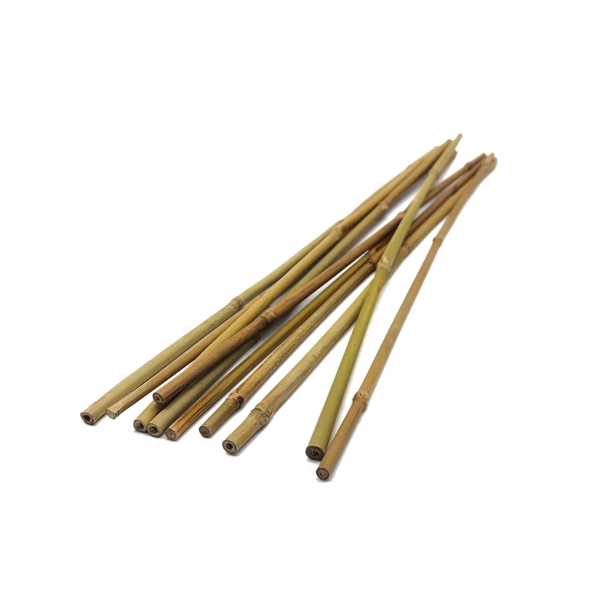 Tyczki bambusowe 10szt - podpory do roślin