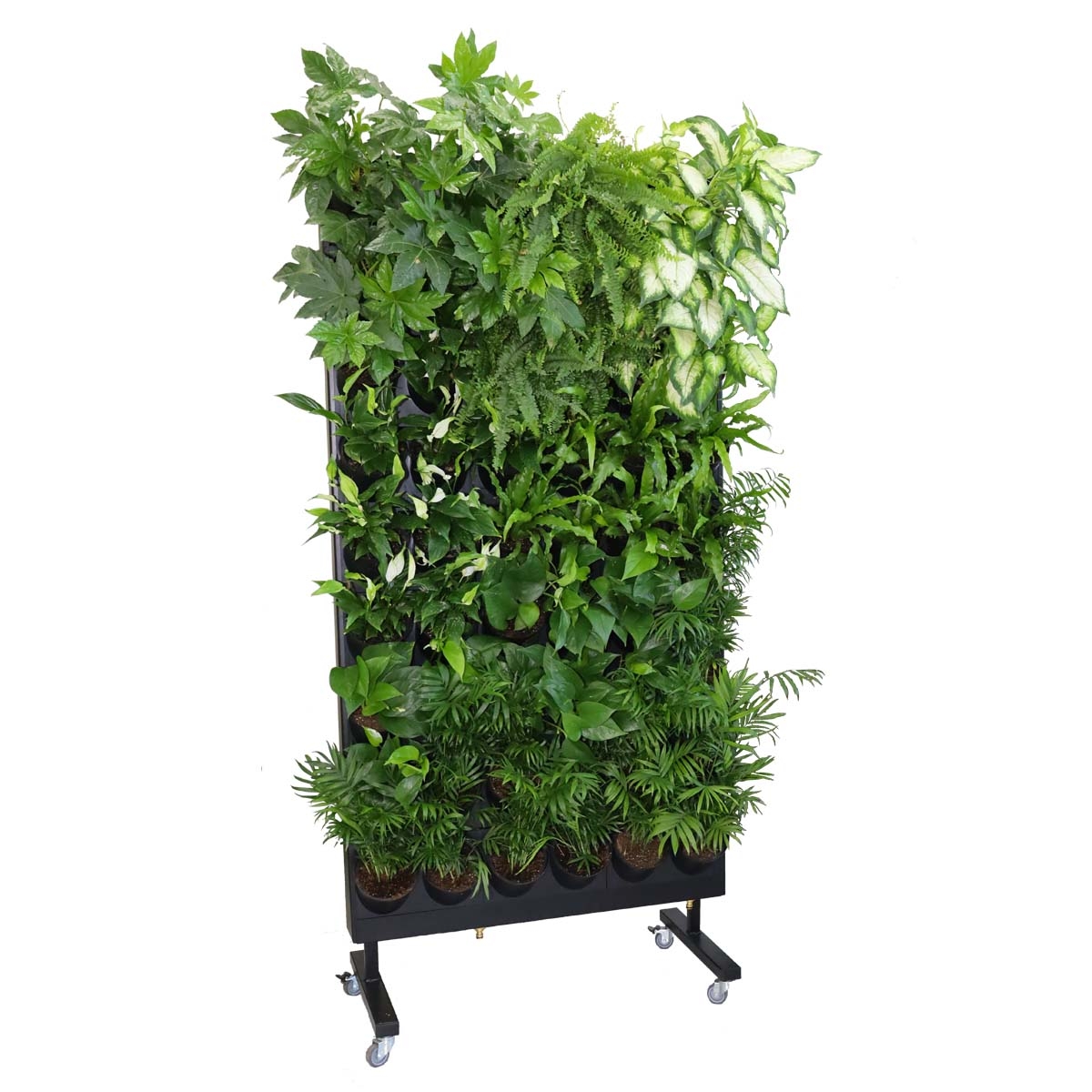 Alu-Line---mobilna-zielona-sciana-jednostronna-z-aranżacją-z-roślin-domowych