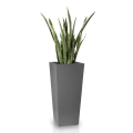 Wysoka donica Fiberglass Kamila na sansewierie