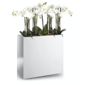 Donica Fiberglass - Wall do storczyka