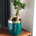 Doniczka ceramiczna Emerald Cylinder do biura