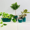 Doniczka ceramiczna Emerald - Kula do roślin domowych