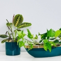 Doniczka ceramiczna Emerald - Łódka do salonu