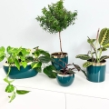 Doniczka ceramiczna Emerald - Owalna glamour