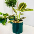 Doniczka ceramiczna Emerald - Cylinder na kwiaty