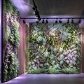 Żarówki Verticana do doświetlania roślin, ogrodów wertykalnych