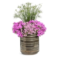 Supertunia VISTA fioletowa Juzzbery dekoracja w donicy