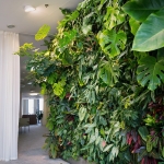 Pixel Garden PG09 - moduł ogrodu wertykalnego