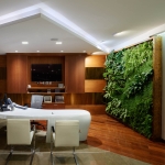 Skrzydłokwiat Alana ogród wertykalny w biurze.