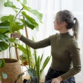 Pa, pa ziemiórki Plant Lover zielone rośliny do domu
