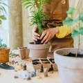Pa, pa ziemiórki Plant Lover przesadzanie roślin po zakupie