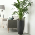 Nowoczesna donica Ecolite Cygaro w holu