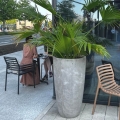 Donica Ecolite Cygaro do restauracji