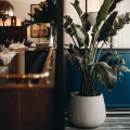 Ceramiczna donica Ecolite - Pękata misa do restauracji