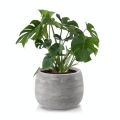 Ceramiczna donica Ecolite Pękata misa do monstery