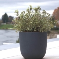 Ceramiczna donica Ecolite - Klasyczna na taras