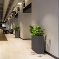 Prostokątna donica Ecolite Wall do hotelu