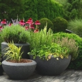 Donica z włókna ceramicznego Ecolite na patio