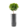 Wysoka donica Fiberglass - Cone na drzewko