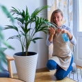 Jak stosować odżywkę uniwersalną Complete do roślin?