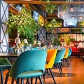 Fikus elastica Robusta roślina do restauracji