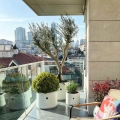 Oliwka Europejska drzewko na balkon