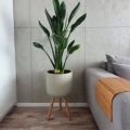Polnix donica ceramiczna na drewnianych nogach do salonu