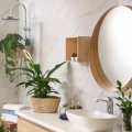 Monstera Monkey Mask C2 i Skrzydłokwiat rośliny do łazienki