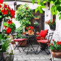 Sundawille pnącze classic red roślina do hotelu