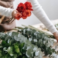 Eukaliptus Niebieski Azura w kompozycjach florystycznych