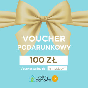 Voucher Bon podarunkowy - 100 zł