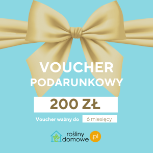 Voucher Bon podarunkowy - 200 zł
