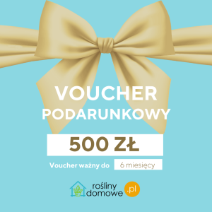 Voucher Bon podarunkowy - 500 zł