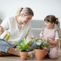 nawóz plant lover stymulator wzrostu