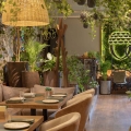 chamedora wytworna rośliny do restauracji cena
