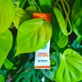 swirski ulti-mite filodendron brasil monstera monkey mask