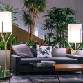 Dracena Copacta roślina do hotelu.