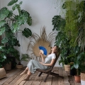 osmocote nawóz rośliny doniczkowe monstera cycas revoluta relaks