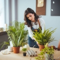 pumeks ogrodniczy pielęgnacja rośliny paprociowate aloes