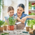 hydrożel ogrodniczy pielęgnacja roślin domowych mama i córka