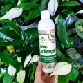 Moc pokrzywy plant Lover do roślin w biurze.