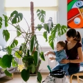 Palik kokosowy dla dużych roślin