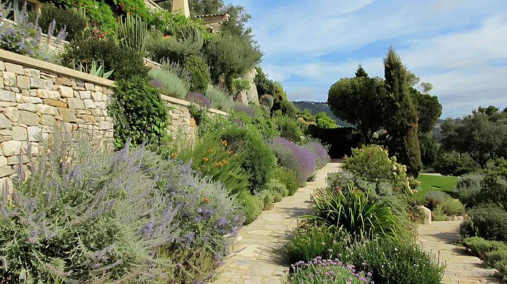 Ogród odporny na suszę i upały