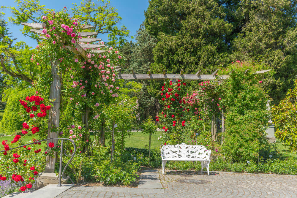 Mainau na Jeziorze Bodeńskim