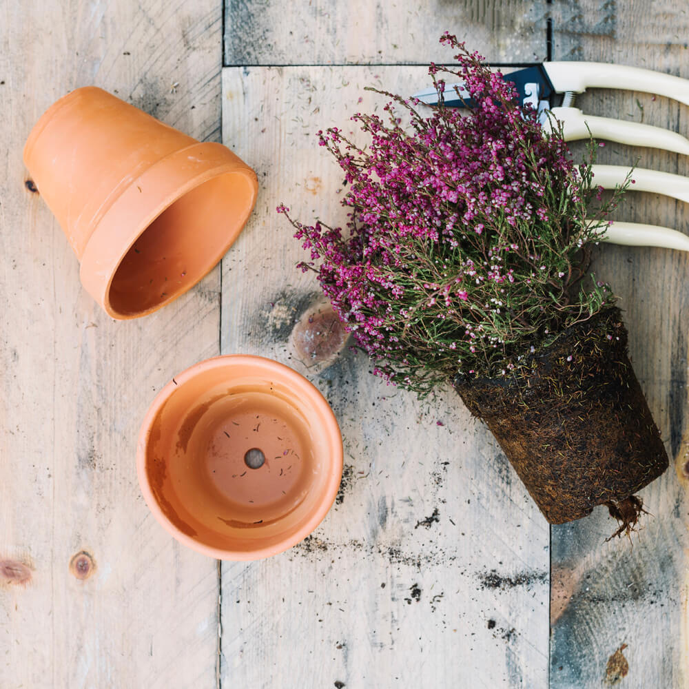 Doniczki z terraktoty oferta