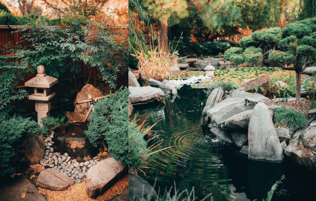 kolarz ogrodów japońskich w ogrodzie z dwóch perspektyw