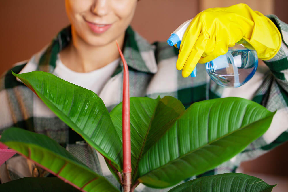 Olejek naan zastosowanie
