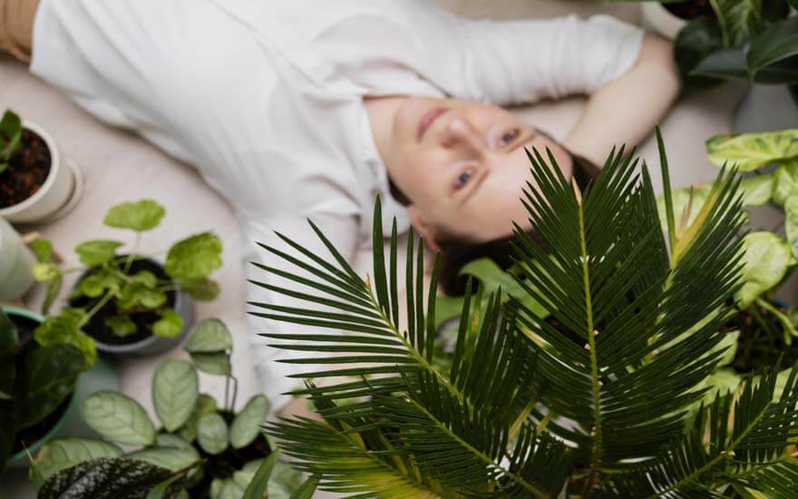 Rośliny doniczkowe a ogrzewanie podłogowe