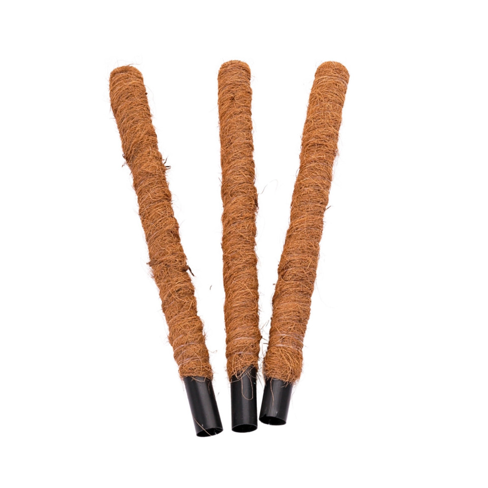 Palik kokosowy - podpora do roślin, zestaw 3 szt. — 32 mm / 50cm